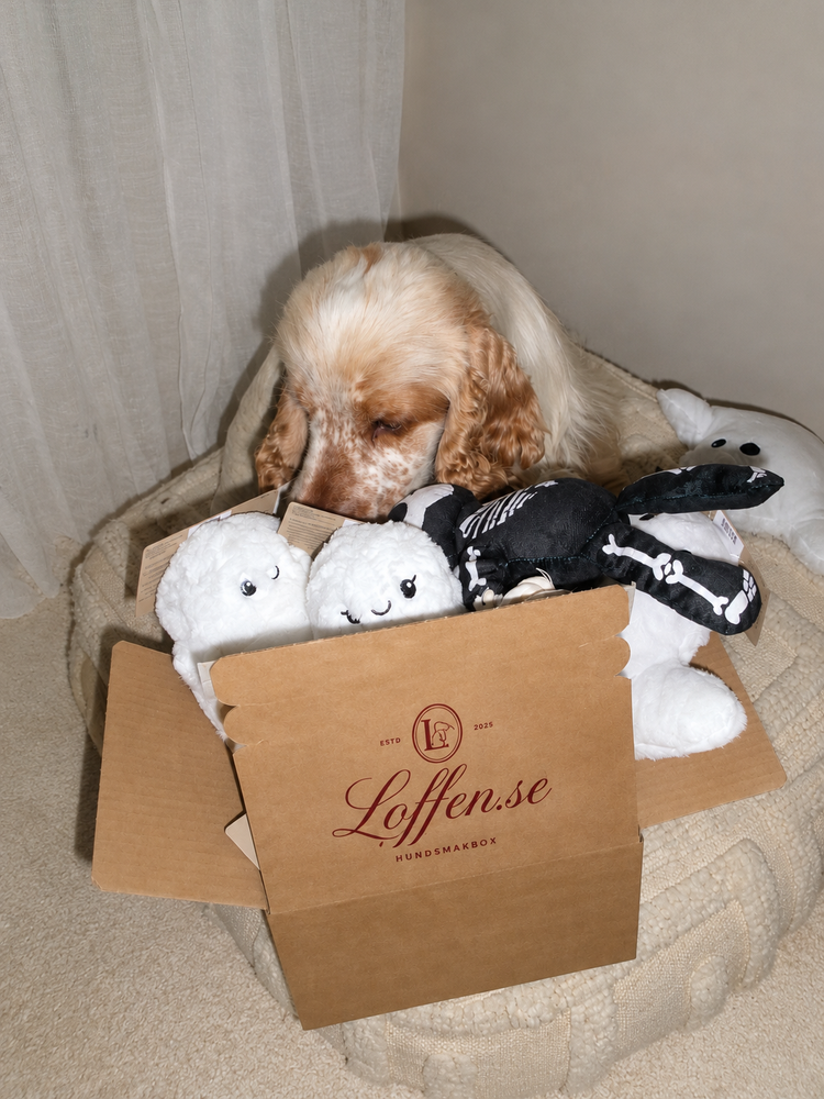 Loffes Engångsbox!